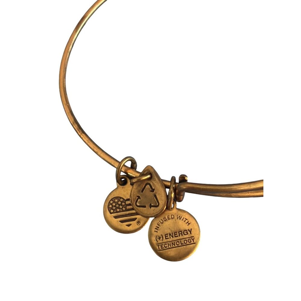 Four Leaf Clover Charm Bracelet Alex And Ani Gold Tone Slide Adj Symbols Tokens - Picture 3 of 6
